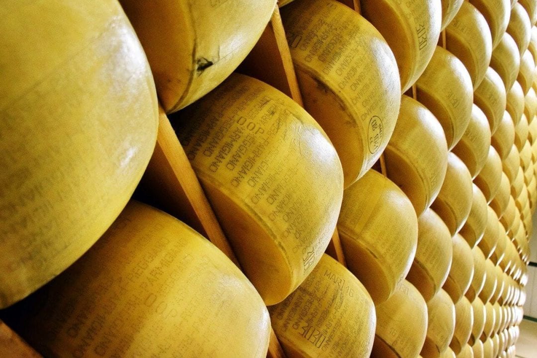 La stagionatura del Parmigiano Reggiano in uno dei caseifici aperti al pubblico per tour di degustazione