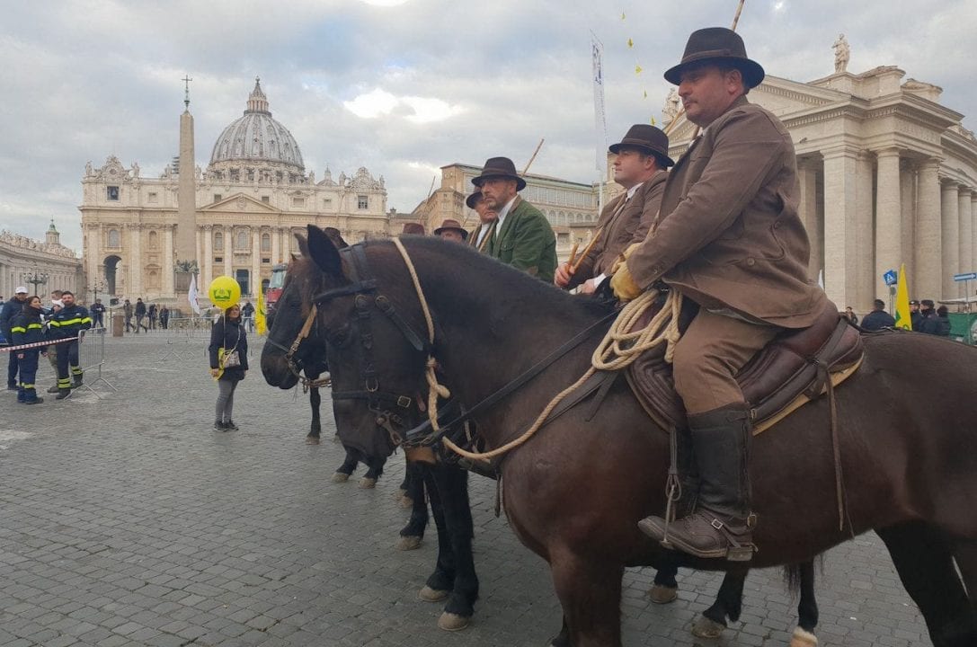 Butteri in Piazza San Pietro a Roma per la tradizionale benedizione del Patrono Sant'Antonio Abate