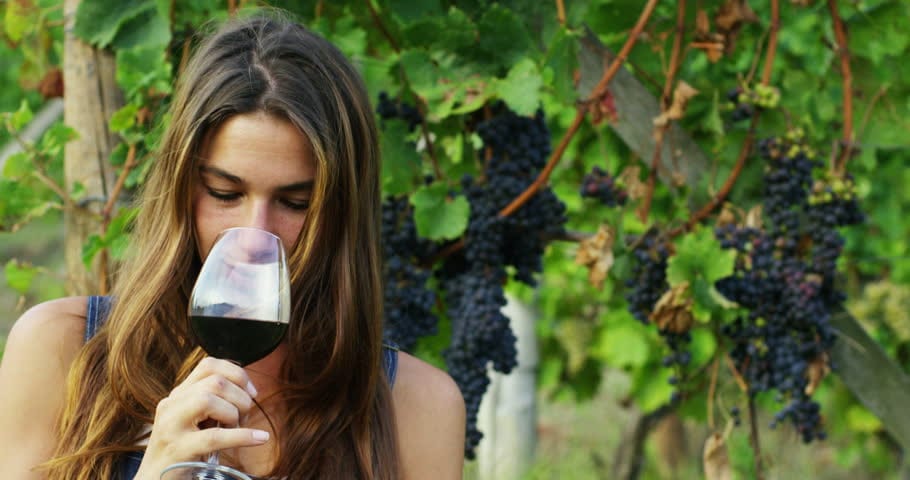 Cresce la percentuale di donne nel settore vitivinicolo