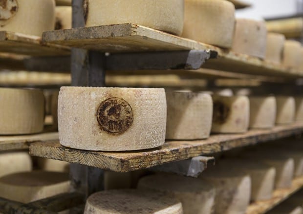 Pecorino Toscano DOP, una delle specialità in assaggio a Buyfood Toscana