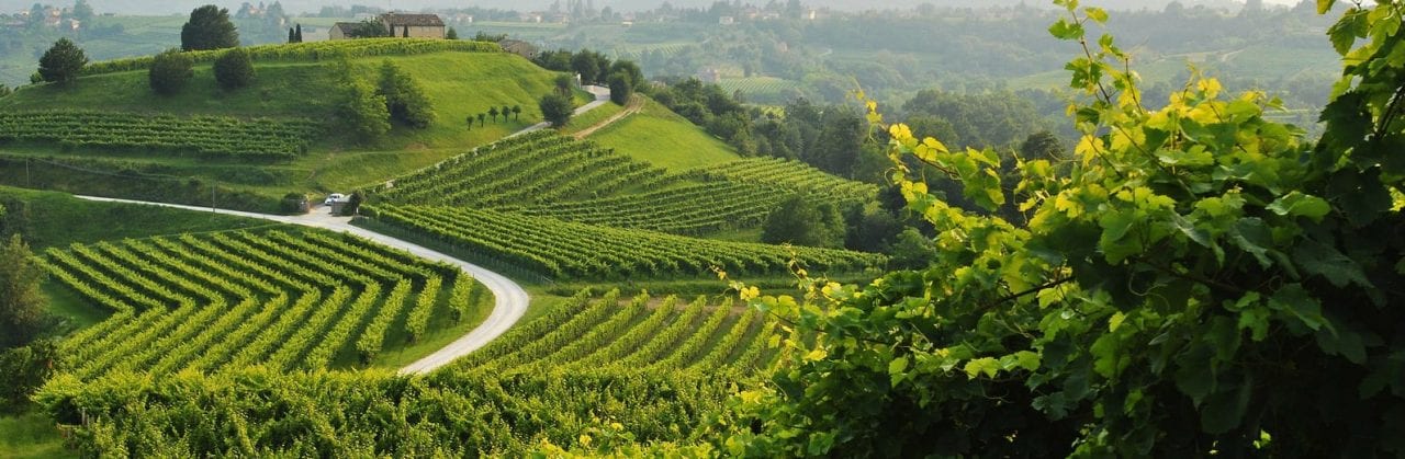 Colline del Prosecco