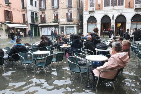 'Venice doesn't have a chance at the moment': Locals struggle to save tourist-heavy city after historic floods. Venice struggle