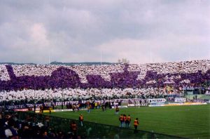 Stadio