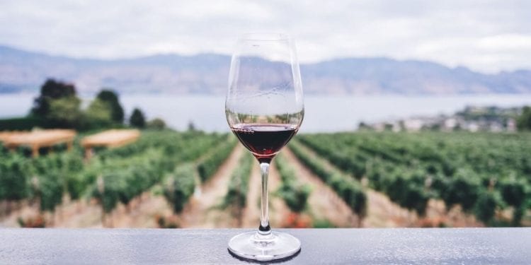 Enoturismo, nuova e promettente frontiera del turismo enogastronomico in Italia