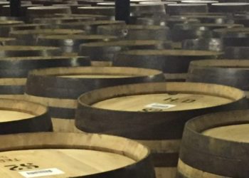 6 – Le botti di affinamento (parte 1)