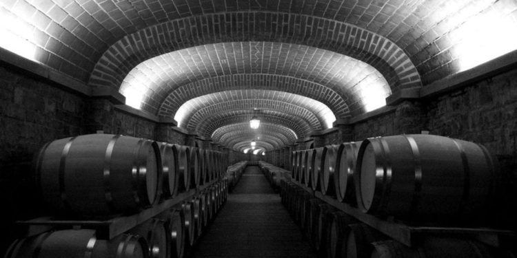 Il Borro, Cantina invecchiamento