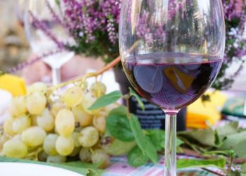 Pranzo in fattoria, Fattoria di Montefiridolfi, Chianti, Toscana