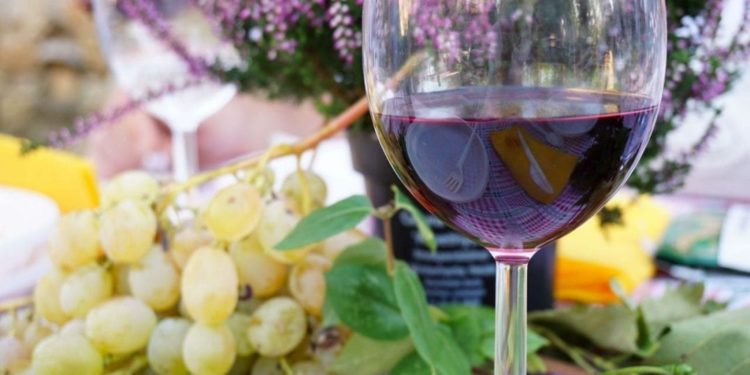 Pranzo in fattoria, Fattoria di Montefiridolfi, Chianti, Toscana