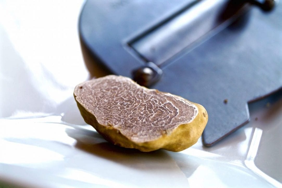 Tartufo Bianco Da Nord A Sud Tutti Gli Appuntamenti Per