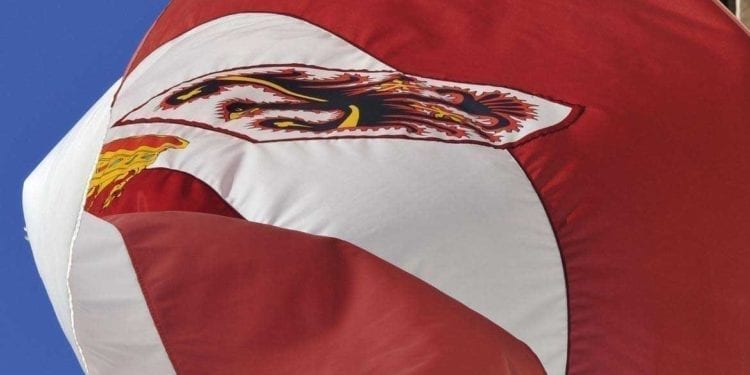 Dalla Leopolda al Trentino