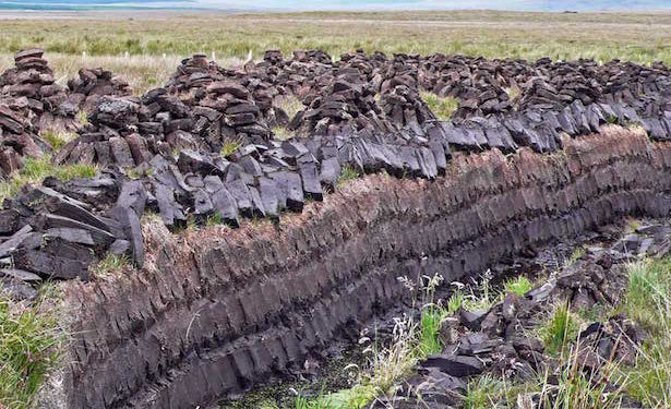 5 – La tostatura del malto d’orzo: torba, legna, elettricità