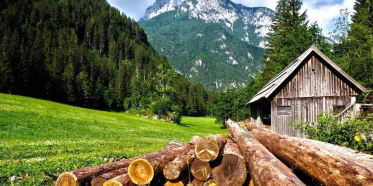 Le Alpi, uno dei territori più soggetti all'abbandono agricolo ed al rischio idrogeologico