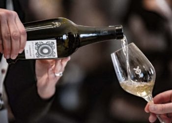 Degustazione di vino, Merano WineFestival edizione 2017