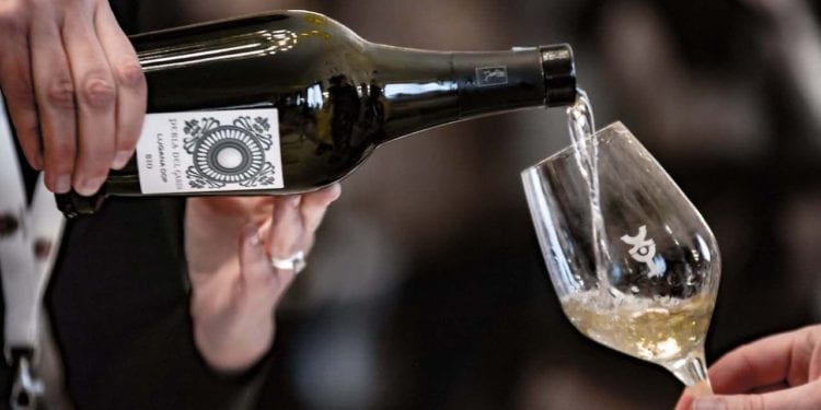 Degustazione di vino, Merano WineFestival edizione 2017