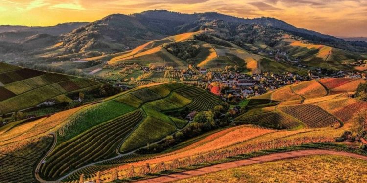 Paesaggio rurale