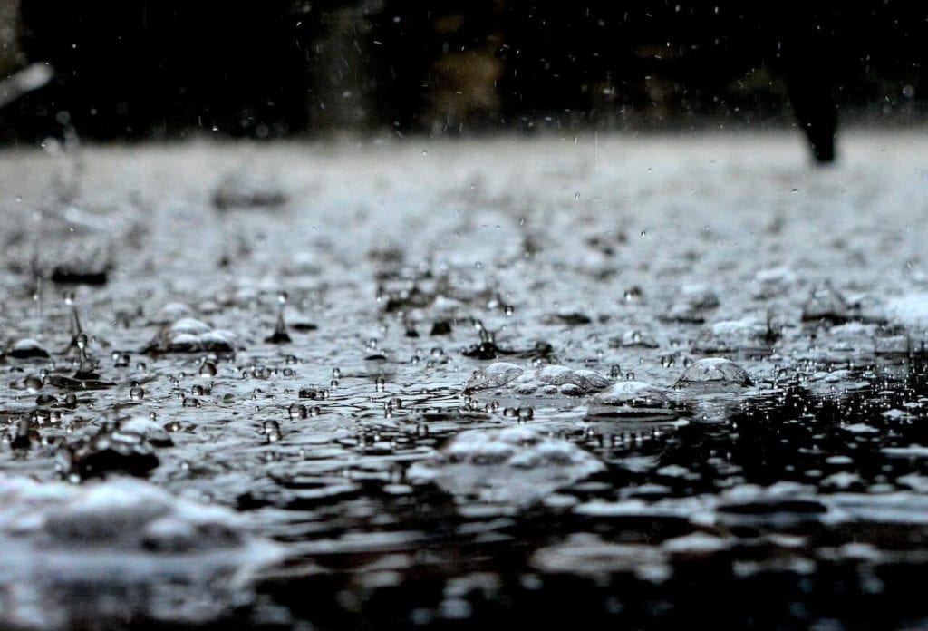 Piogge torrenziali e trombe d'aria: il maltempo degli ultimi giorni ha messo in ginocchio l'agricoltura