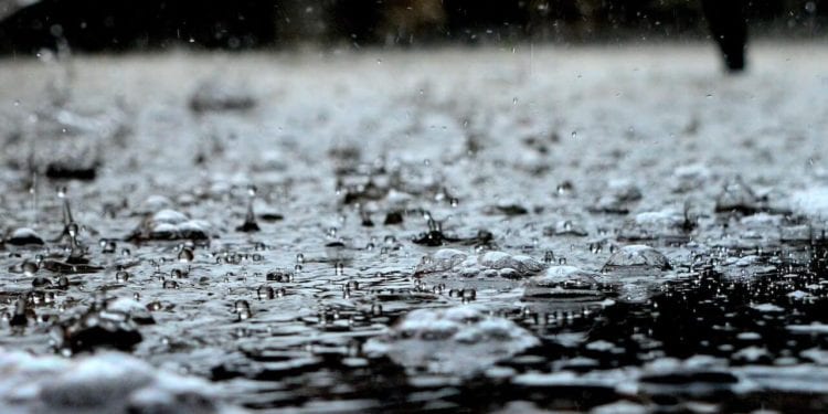 Piogge torrenziali e trombe d'aria: il maltempo degli ultimi giorni ha messo in ginocchio l'agricoltura