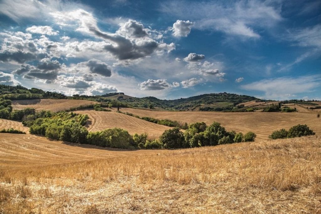 Toscana, campi coltivati