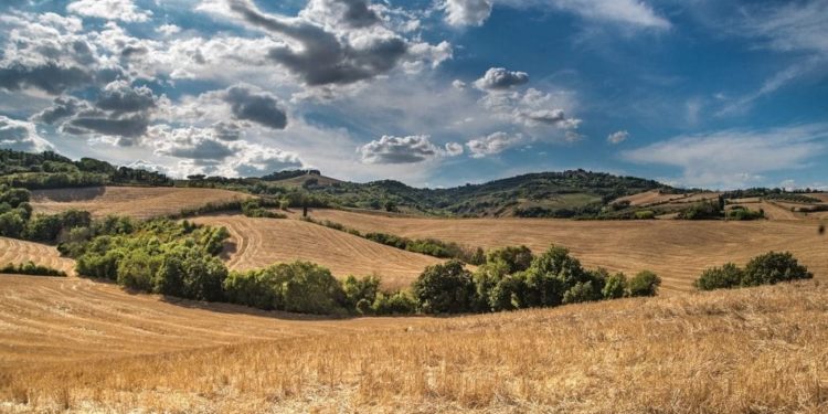 Toscana, campi coltivati
