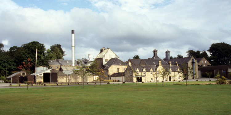 Il Whisky della Settimana: Dalmore 15