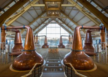 8 – Single Malt o Blended?