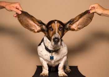 Photo by kyle smith on Unsplash