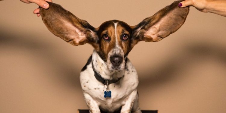 Photo by kyle smith on Unsplash