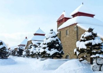 Il Whisky della Settimana: Nikka Taketsuru 21 Pure Malt