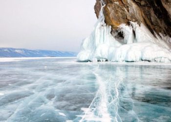L’oro bianco della Siberia: l’avorio dei Mammut