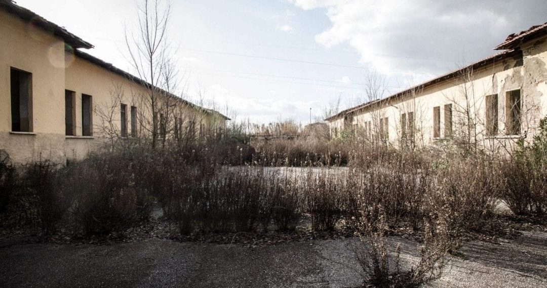 Firenze abbandona i suoi Lupi al degrado