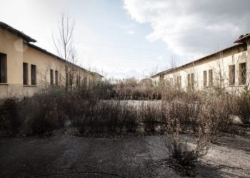 Firenze abbandona i suoi Lupi al degrado