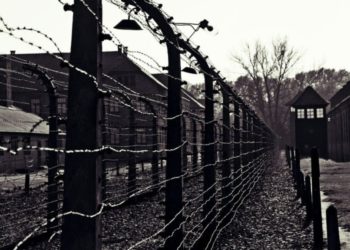 Ritorno da Auschwitz