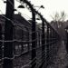 Ritorno da Auschwitz