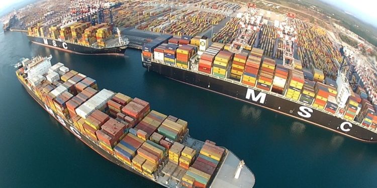 Un mare di coca sequestrato a Livorno, 650 kg