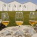 Il Whisky della Settimana: Scapa Glansa