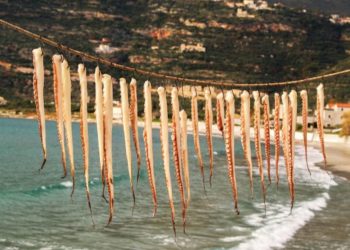 Polpi stesi al sole, Grecia