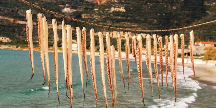 Polpi stesi al sole, Grecia