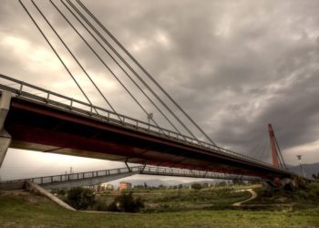 Firenze nel degrado: Conigli lasciati al loro destino dal Comune