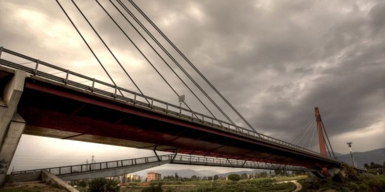 Firenze nel degrado: Conigli lasciati al loro destino dal Comune