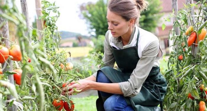 Donne e Agricoltura: in Italia un’azienda su 4 è guidata da una donna