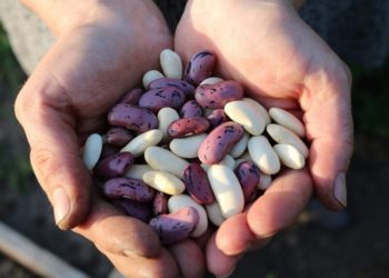 Prodotti tipici certificati: il 92% nasce nei piccoli Comuni