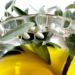 “Di seme in seme”: a Montespertoli due giorni dedicati alla cultura dell’olio d’oliva