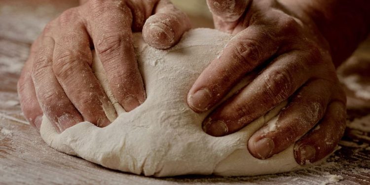 Levante PROF: la fiera internazionale che valorizza il Made in Italy tecnologico ed enoagroalimentare