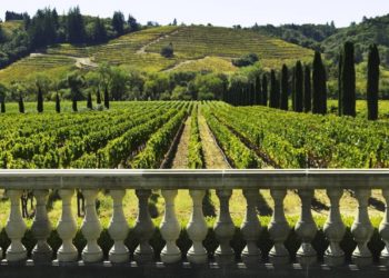 Enoturismo è legge