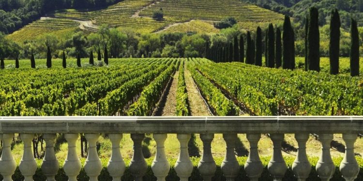 Enoturismo è legge