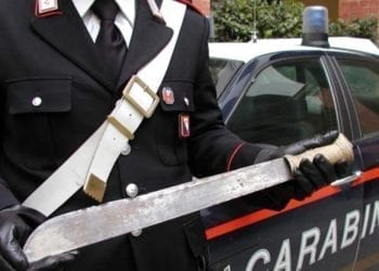 Marocchini clandestini armati di machete difendono il “bosco dello spaccio”, blitz dei Carabinieri