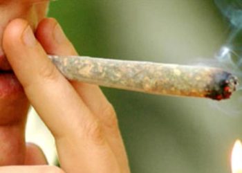 Studio: “La cannabis è pericolosa, aumenta il rischio di psicosi”