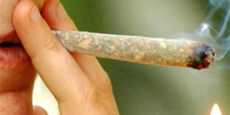 Studio: “La cannabis è pericolosa, aumenta il rischio di psicosi”