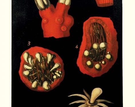 Le “Tele cerate” di Egisto Tortori, una mostra sorprendente