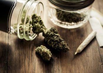 Firenze: arriva la Marijuana light a domicilio con JustMary.fun